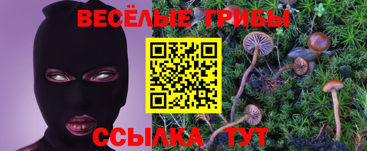 Галлюциногенные грибы прущие грибы  Вход с VPN  Полевской 